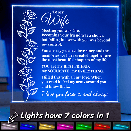 To My Wife - My Everything - LED Acrylic Plaque
